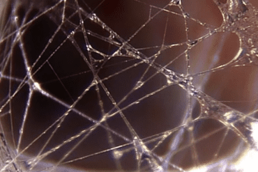 How do you hydrate your fascia?